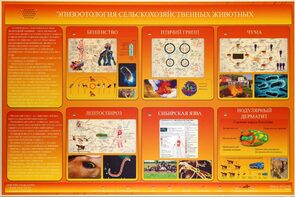 Электрифицированный стенд «Эпизоотология сельскохозяйственных животных» - fgospostavki.ru - Хабаровск