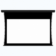 Экран настенный с электроприводом DSTPX-16916 - fgospostavki.ru - Хабаровск