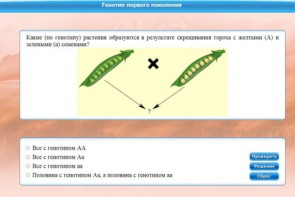 Интерактивные курсы. Биология 11 класс. Базовый. - fgospostavki.ru - Хабаровск