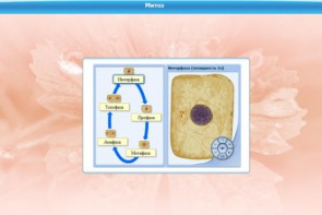 Интерактивные курсы. Биология 6 класс. Базовый - fgospostavki.ru - Хабаровск