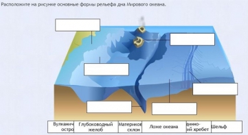 Интерактивные курсы. География 7 класс . Базовый. - fgospostavki.ru - Хабаровск