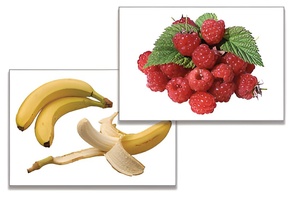 Дидактическое пособие "Фрукты, ягоды, орехи" (24 карточки) - fgospostavki.ru - Хабаровск