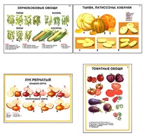 Плакаты ПРОФТЕХ "Ассортимент овощных культур" (12 пл, винил, 70х100) - fgospostavki.ru - Хабаровск