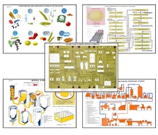 Плакаты ПРОФТЕХ "Сырье и материалы хлебопекарного производства" (20 пл, винил, 70х100) - fgospostavki.ru - Хабаровск