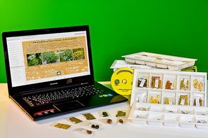 Коллекция натурально-интерактивная "Плоды сельскохозяйственных растений" - fgospostavki.ru - Хабаровск