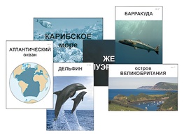 Модель-аппликация "Океаны. Знакомство" (ламинированная) - fgospostavki.ru - Хабаровск