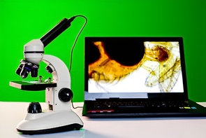 Микроскоп школьный с цифровой камерой - fgospostavki.ru - Хабаровск
