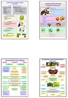 Плакаты ПРОФТЕХ "Классификация овощей и переработка" (8 пл, винил, 70х100) - fgospostavki.ru - Хабаровск