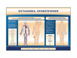 Электрифицированный стенд-тренажер "Остановка кровотечения" - fgospostavki.ru - Хабаровск
