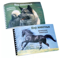 Пособие для слабовидящих - Домашние животные - fgospostavki.ru - Хабаровск