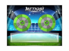 Электрифицированный координационно-развивающий спортивный комплекс "Меткий" - fgospostavki.ru - Хабаровск