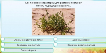 Интерактивные курсы. Окружающий мир 3 класс . Базовый. - fgospostavki.ru - Хабаровск