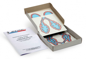 Модель-аппликация "Развитие легких позвоночных животных" (набор из 5 карт) - fgospostavki.ru - Хабаровск