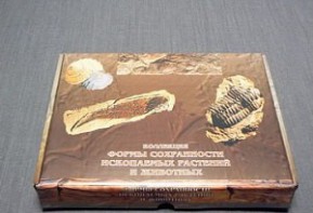 Коллекция "Формы сохранности ископаемых растений и животных" - fgospostavki.ru - Хабаровск