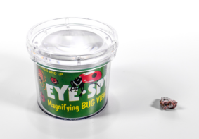 Бокс для наблюдения за насекомыми BUGV-01 - fgospostavki.ru - Хабаровск