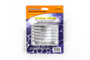 Набор микропрепаратов для микроскопа №5 «Насекомые» - fgospostavki.ru - Хабаровск