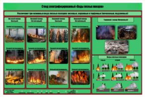 Стенд-планшет электрифицированный «Виды лесных пожаров»  - fgospostavki.ru - Хабаровск