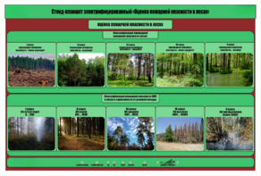 Стенд-планшет электрифицированный «Оценка пожарной опасности в лесах»  - fgospostavki.ru - Хабаровск