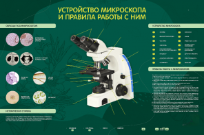 Электрифицированный стенд "Устройство микроскопа и правила работы c ним" - fgospostavki.ru - Хабаровск