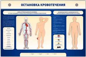 Электрифицированный стенд-тренажер "Остановка кровотечения" - fgospostavki.ru - Хабаровск