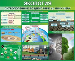 Стенд "Экология. Антропогенное воздействие на биосферу" - fgospostavki.ru - Хабаровск
