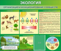 Стенд "Экология. Организация и функционирование сообществ" - fgospostavki.ru - Хабаровск