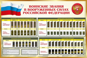 Стенд "Воинские звания в вооруженных силах РФ" - fgospostavki.ru - Хабаровск