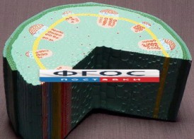 Модель "Стебель растения" - fgospostavki.ru - Хабаровск