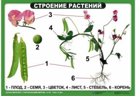 Комплект таблиц "Ознакомление с окружающим миром 1-4 класс" - fgospostavki.ru - Хабаровск