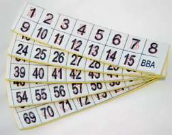 Фишки для игры «Бинго» со шрифтом Брайля - fgospostavki.ru - Хабаровск