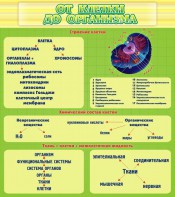 Стенд "От клетки до организма" - fgospostavki.ru - Хабаровск