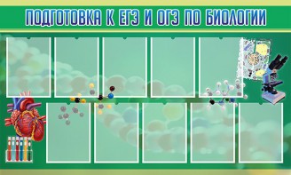 Стенд "Подготовка к ЕГЭ и ОГЭ по биологии" Вариант 2 - fgospostavki.ru - Хабаровск