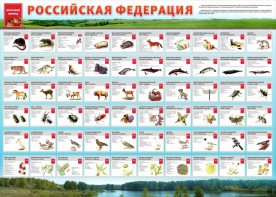 Стенд "Красная книга РФ" - fgospostavki.ru - Хабаровск
