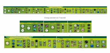 Стенд "Классификация групп животных" - fgospostavki.ru - Хабаровск