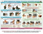 Комплект плакатов "Оказание первой доврачебной медицинской помощи" - fgospostavki.ru - Хабаровск