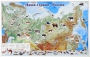 Магнитные карточки "Животные" - fgospostavki.ru - Хабаровск
