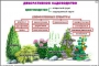 Комплект кодотранспарантов "Культурные растения" - fgospostavki.ru - Хабаровск